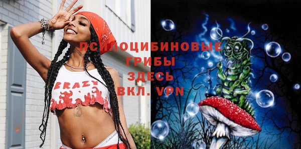 тгк Богородск