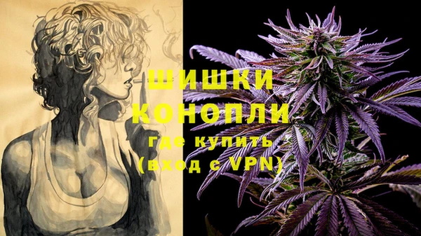 трава Снежногорск