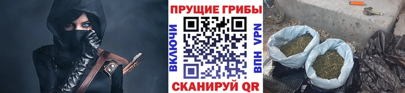 Галлюциногенные грибы Psilocybine cubensis  Малая Вишера 